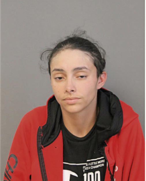 AELANI FLORES, Cook County, Illinois