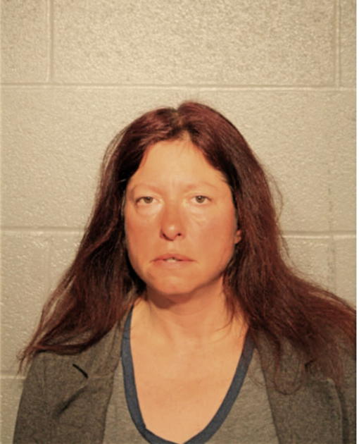 SHELLEY R FREY, Cook County, Illinois