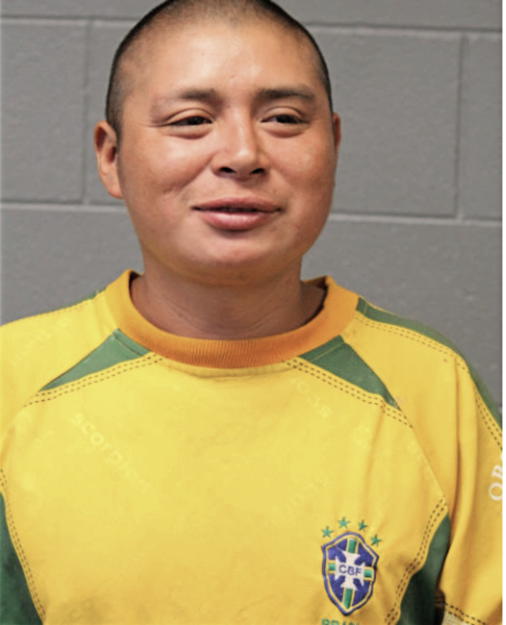 CORNELIOS PEDRO GONZALEZ, Cook County, Illinois