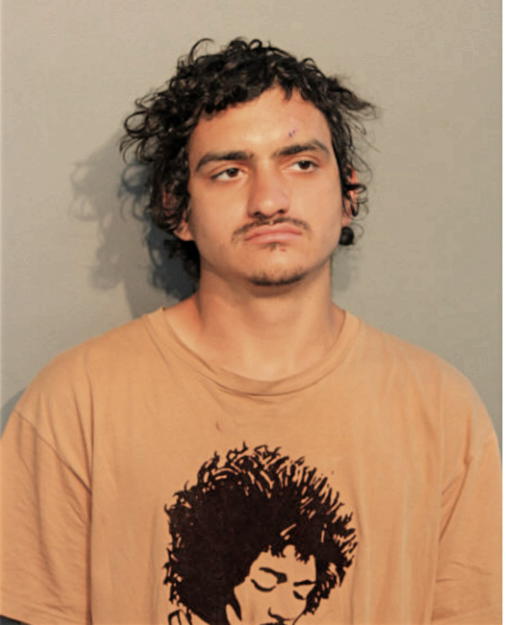BRANDON LAVERDURE, Cook County, Illinois
