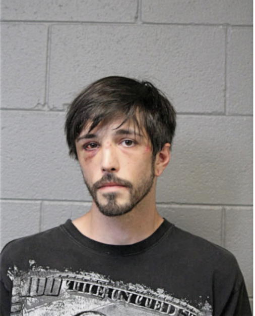 ANDREW J LINDSTROM, Cook County, Illinois