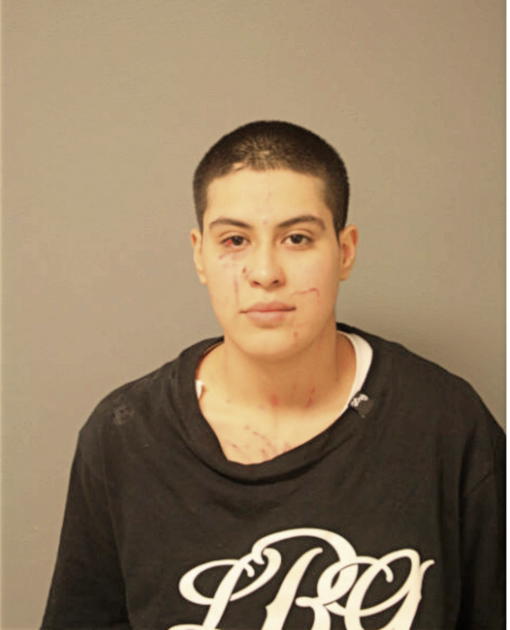 ROSA MERCADO, Cook County, Illinois