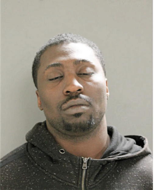 MARTICE D PALM, Cook County, Illinois