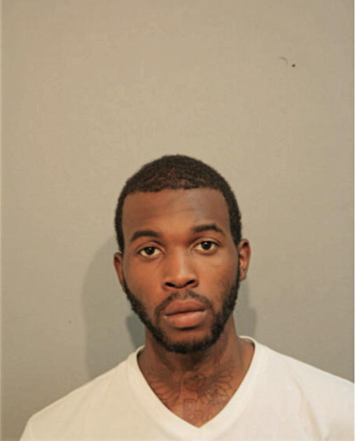 CHRISTOPHER D PALMER, Cook County, Illinois