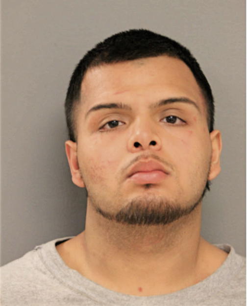 DIOMAR RANGEL, Cook County, Illinois