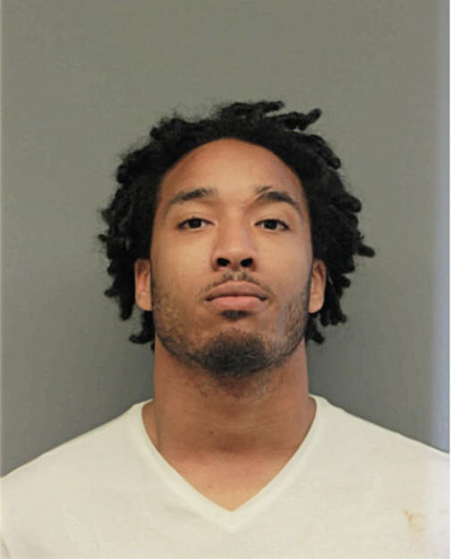 CHRISTIAN D REESE, Cook County, Illinois