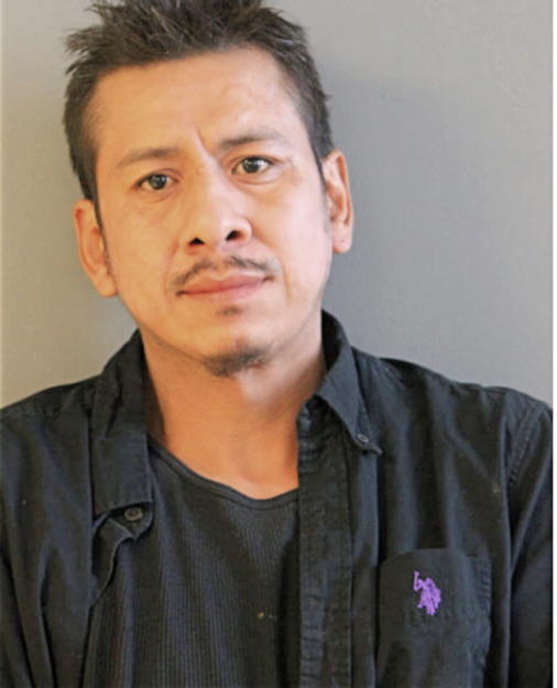 JOSE ARETEAGA, Cook County, Illinois