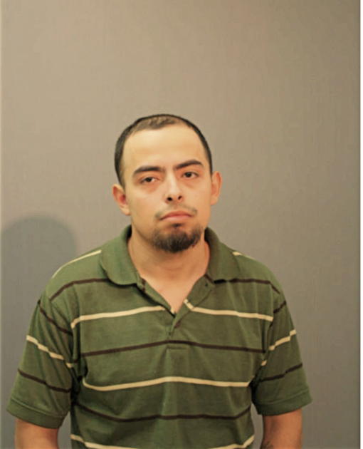 JOAN BANUELOS, Cook County, Illinois
