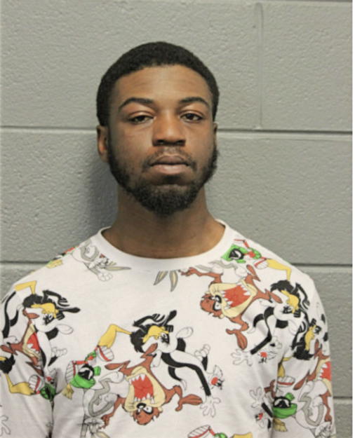 OTTIS I BRADLEY, Cook County, Illinois