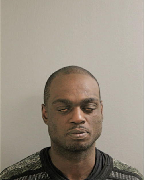 INAGUA BRAY, Cook County, Illinois