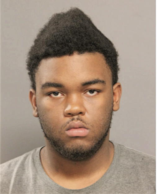 JAIKEMA A BROOKS, Cook County, Illinois