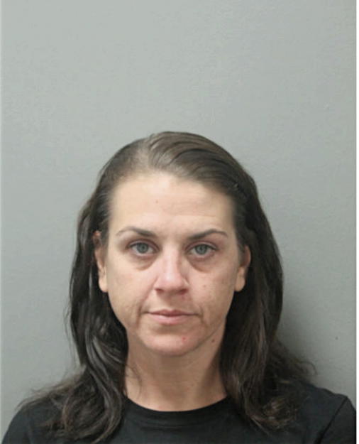 MEGHANN L CARTER, Cook County, Illinois