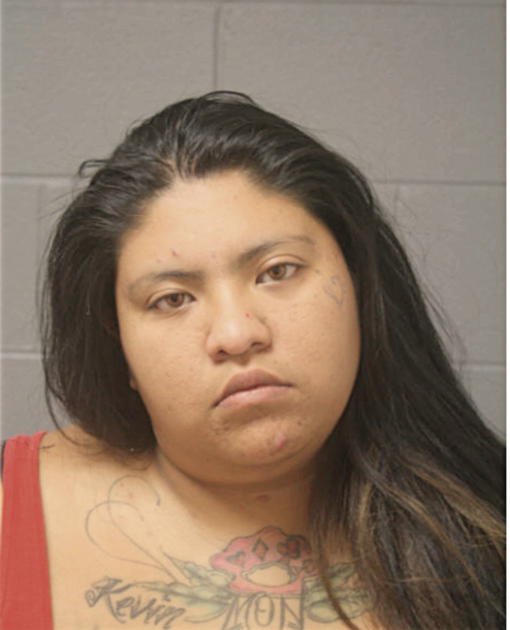 NOEMI ELENA CERVANTES, Cook County, Illinois