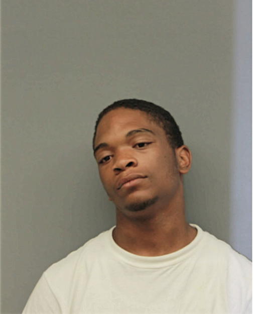 RAPHAEL DANIEL, Cook County, Illinois