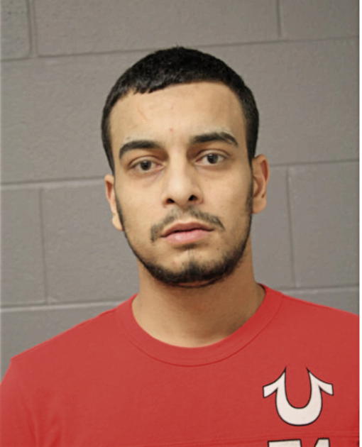 WAJDI M DARMOHAMMAD, Cook County, Illinois
