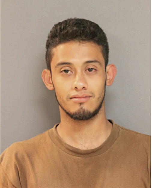 LUIS G RAMIREZ, Cook County, Illinois