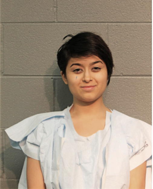 DANIA GARCIA, Cook County, Illinois