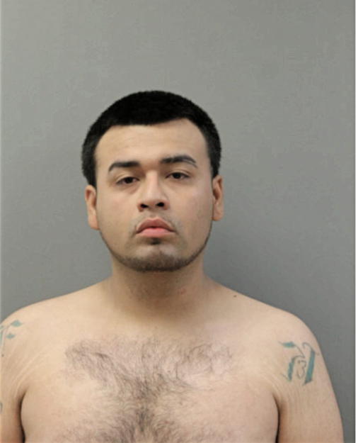 CHRISTIAN GONZALEZ, Cook County, Illinois