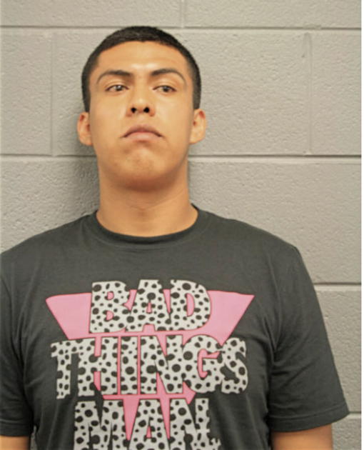 FERNANDO GONZALEZ, Cook County, Illinois