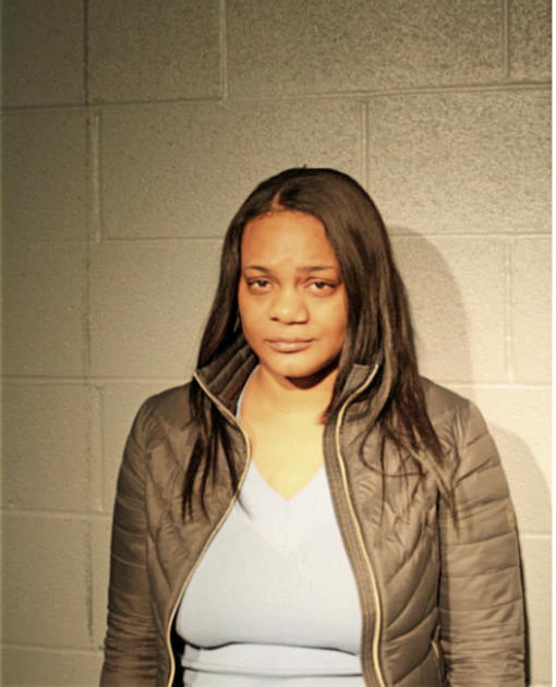 JANICE N HENSON, Cook County, Illinois