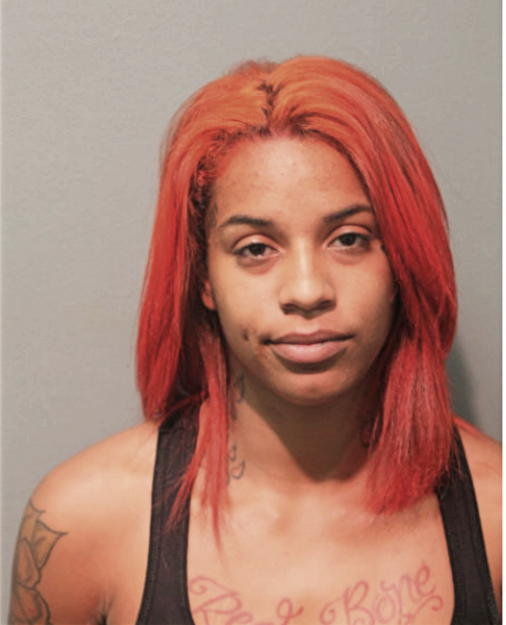 BRITTANY P HILL, Cook County, Illinois