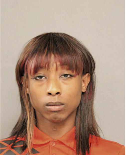 TERRENCE J JACKSON-BAILEY, Cook County, Illinois