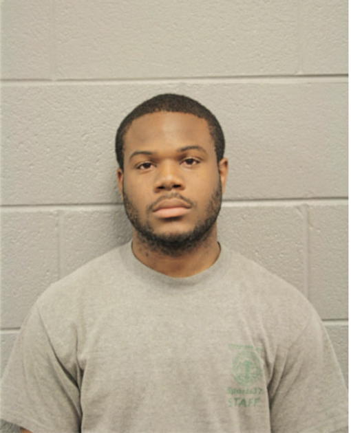 JAMES A JOHNSON, Cook County, Illinois
