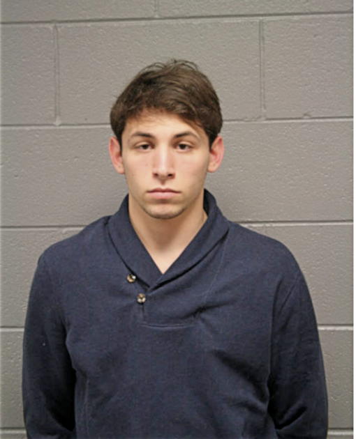 JAKE D KALMIN, Cook County, Illinois