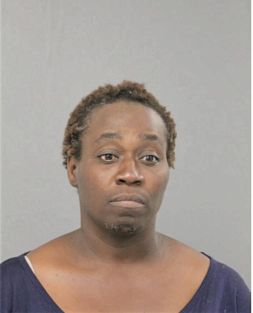 BERNETTA R LEWIS, Cook County, Illinois
