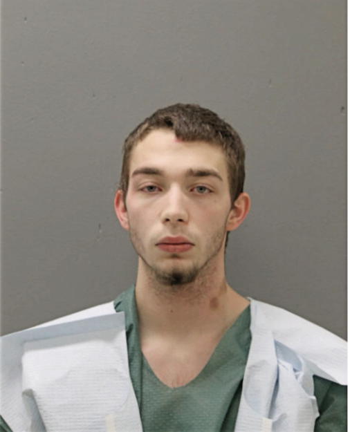 NATHAN M MARSHALL, Cook County, Illinois