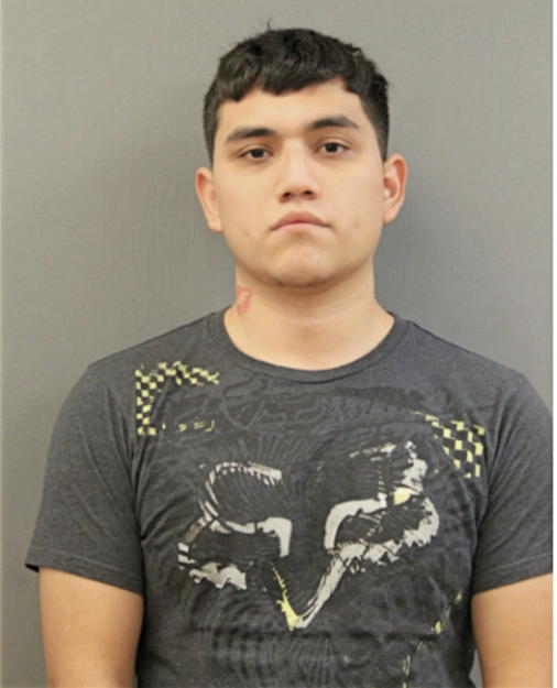 ALFREDO REYES, Cook County, Illinois