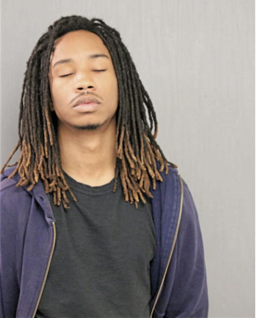 MICHAEL E SHAW, Cook County, Illinois