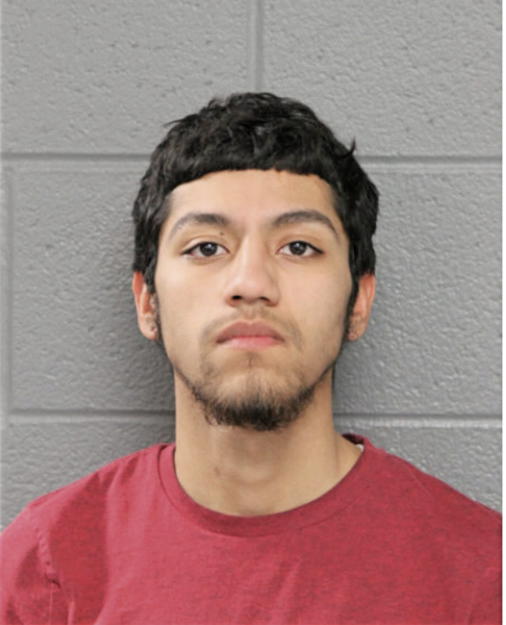 GUSTAVO VILLA, Cook County, Illinois