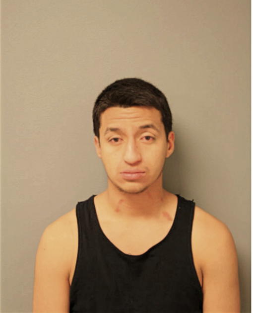 JOSE VIZCARRA, Cook County, Illinois