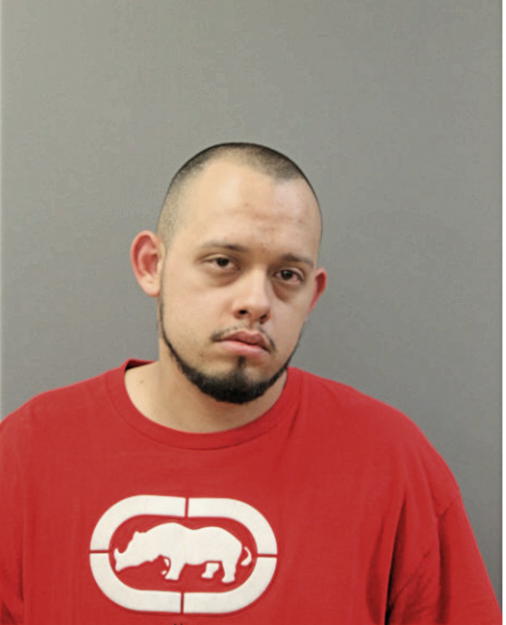 RAFAEL ALDAMA, Cook County, Illinois