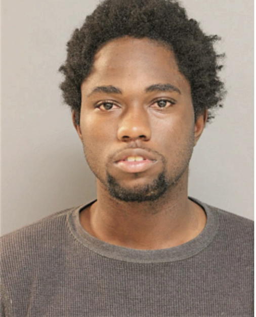 ROSHA BANKS, Cook County, Illinois