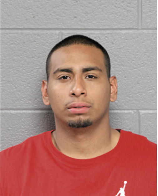 MARIO CALDERON, Cook County, Illinois