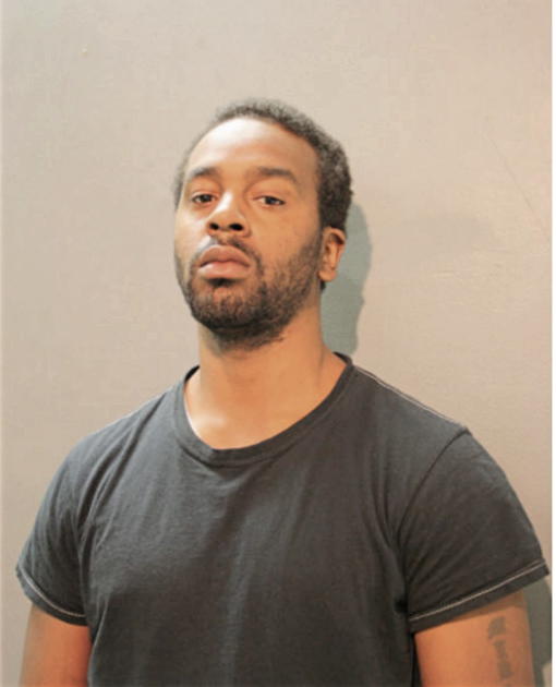 MICHAEL S DAVIS, Cook County, Illinois