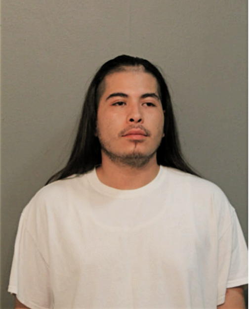 CESAR I DIAZ, Cook County, Illinois