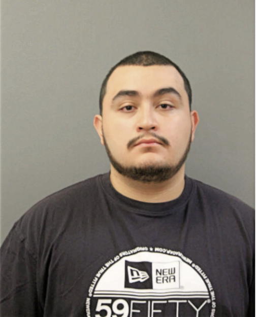 JUAN A HERNANDEZ, Cook County, Illinois