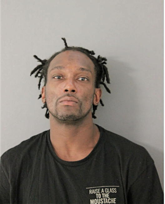 ROBERT L JOHNSON, Cook County, Illinois