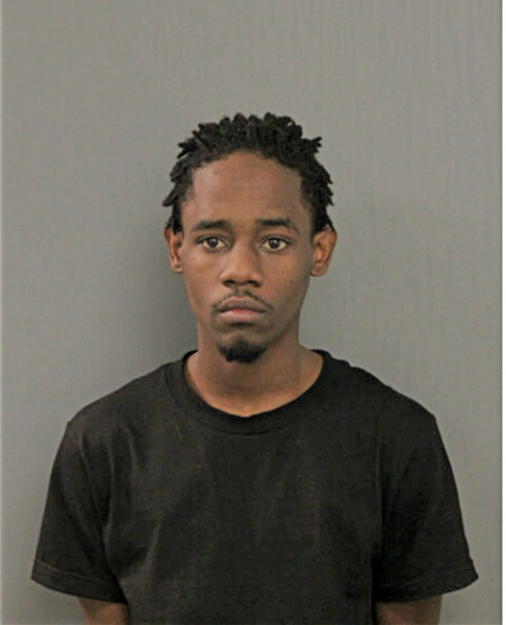 JOHNNY L JONES, Cook County, Illinois