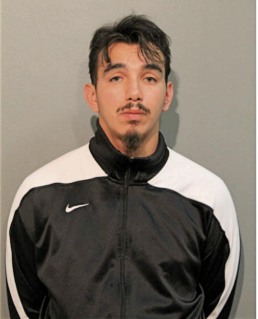 CARLOS A LOPEZ, Cook County, Illinois