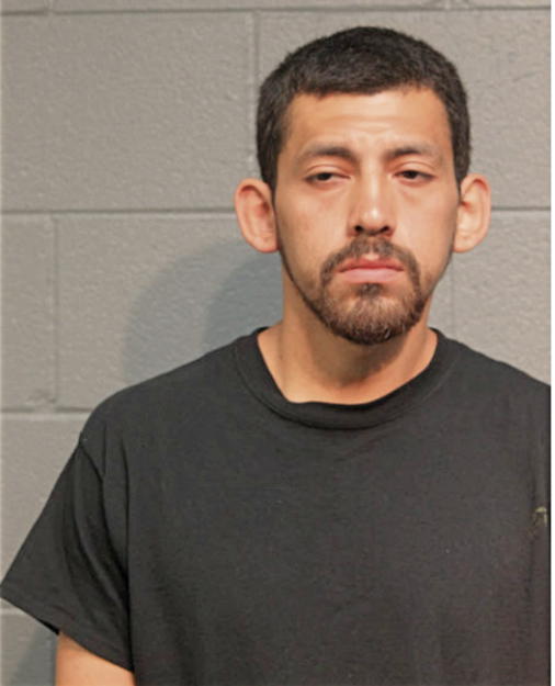 JOSEPH MEGAREJO, Cook County, Illinois