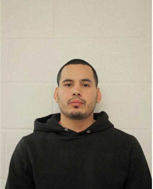 MICHAEL MENDOZA, Cook County, Illinois