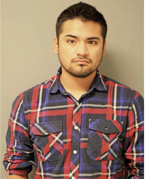 MIGUEL A MOJICA, Cook County, Illinois