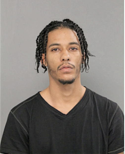 RECARDO A NELSON, Cook County, Illinois