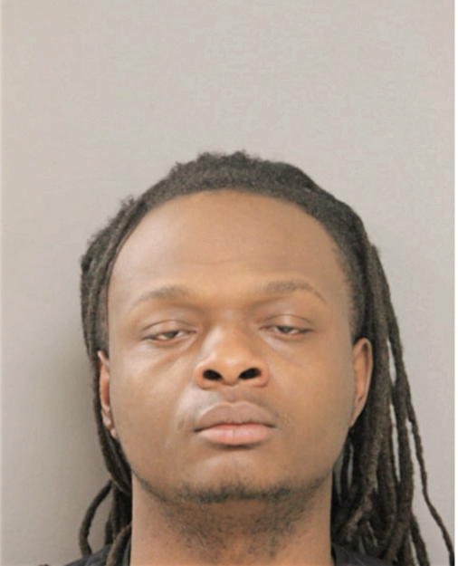 JABIREE D NEWSON, Cook County, Illinois