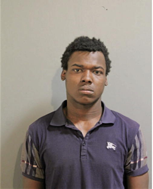 JONATHAN R REESE, Cook County, Illinois