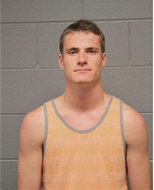 RYAN N ROMKEMA, Cook County, Illinois